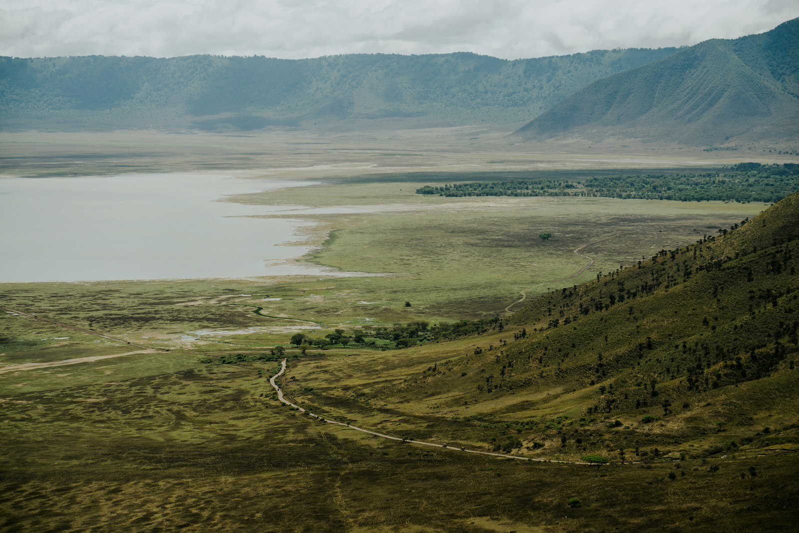 Ngorongoro CA